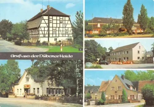 Dübener Heide Mehrbildkarte ngl 180.774