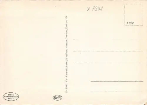 Altenau i. Oberharz Blick vom Schwarzenberg ngl 180.823