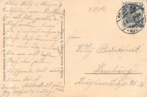 Dresden Brand der Vogelwiese 1909 gl1909 180.845