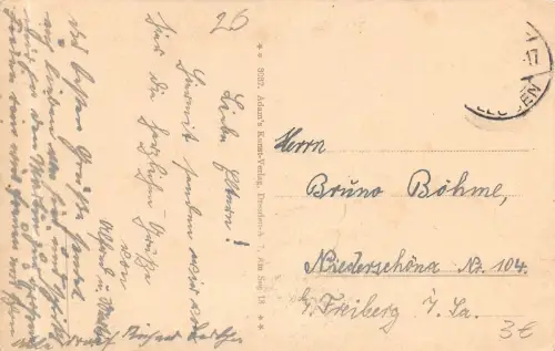 Dresden-Pillnitz Kgl. Schloß gl1917 180.847
