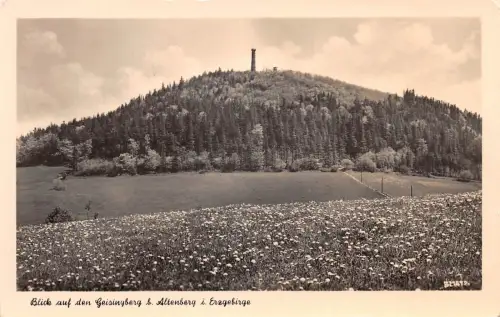 Altenberg (Erzg.) Blick auf den Geisingberg gl1956 180.981