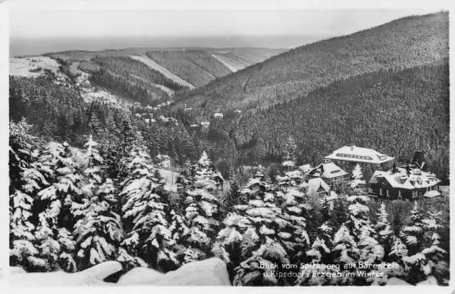 Bärenfels Blick vom Spitzberg ngl 181.019