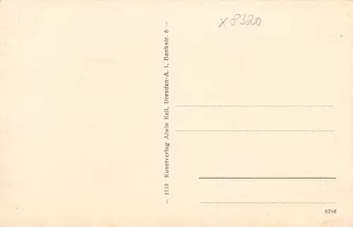 Bad Schandau a. Elbe Panorama ngl 181.060