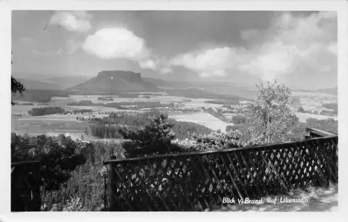 Hohenstein (Sächs. Schweiz) Blick vom Brand auf Lilienstein gl1955 181.098