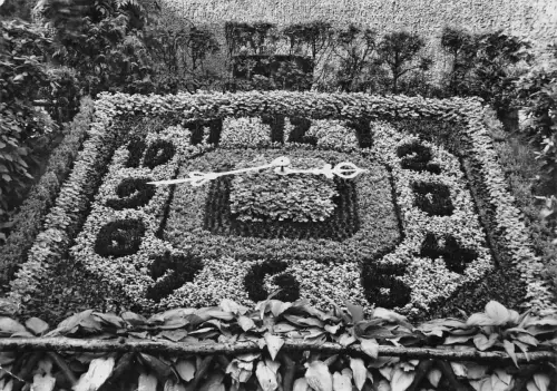 Zittau Die Blumenuhr gl1956 181.123