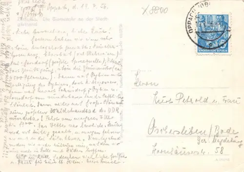 Zittau Die Blumenuhr gl1956 181.123