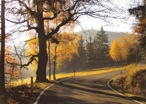 Neujonsdorf Hochwaldblick ngl 181.127