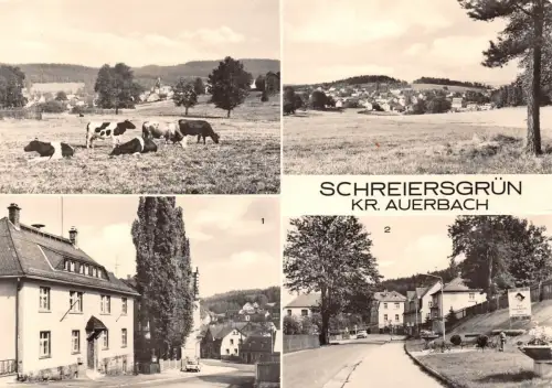 Schreiersgrün (Kr. Auerbach) Mehrbildkarte gl1982 181.273