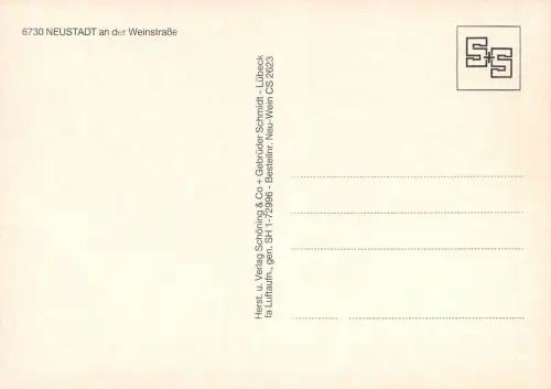 Neustadt an der Weinstraße Panorama ngl 181.391