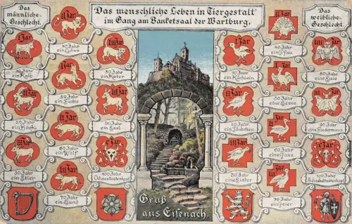 Eisenach - Wartburg Das menschl. Leben in Tiergestalt gl1919 181.675