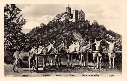 Eisenach - Wartburg Am Eselstandplatz gl1956 181.706