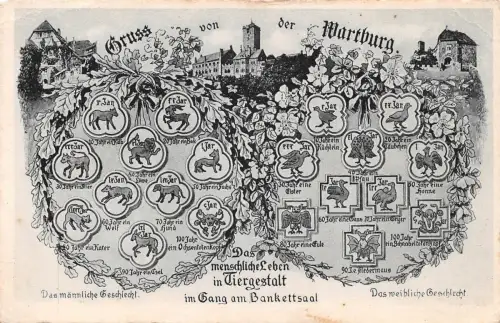 Eisenach - Wartburg Das menschl. Leben in Tiergestalt b. Bankettsaal ngl 181.711