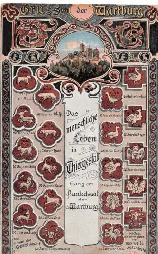 Eisenach - Wartburg Das menschl. Leben in Tiergestalt b. Bankettsaal gl1911 181.804