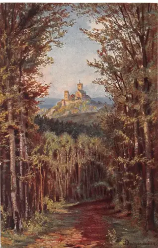 Eisenach - Wartburg Blick von der Hohen Sonne, mit Zudruck ngl 181.805