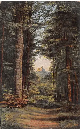 Eisenach - Wartburg Blick von der Hohen Sonne ngl 181.807