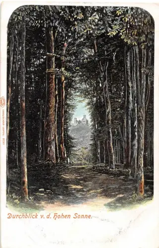Eisenach - Wartburg Blick von der Hohen Sonne ngl 181.806