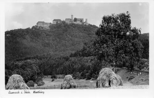 Eisenach - Wartburg Panorama ngl 181.819