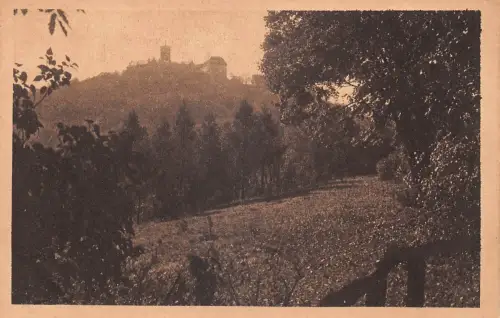 Eisenach - Wartburg vom Hainstein ngl 181.829