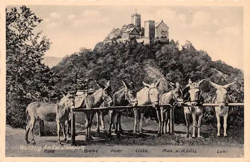Eisenach - Wartburg Am Eselstandplatz ngl 181.867