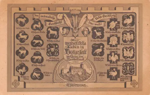 Eisenach - Wartburg Das menschl. Leben in Tiergestalt b. Bankettsaal ngl 181.866