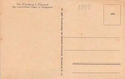 Eisenach - Wartburg Das menschl. Leben in Tiergestalt b. Bankettsaal ngl 181.866