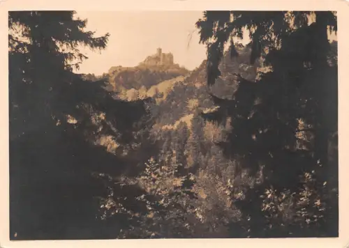 Eisenach - Wartburg vom Katzensprung ngl 181.876