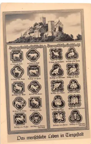 Eisenach - Wartburg Das menschl. Leben in Tiergestalt ngl 181.856