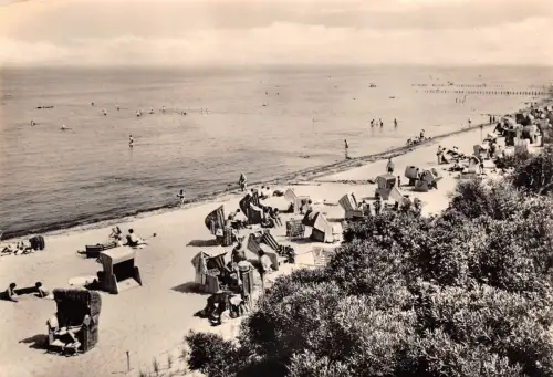 Poel Schwarzer Busch ngl 181.953