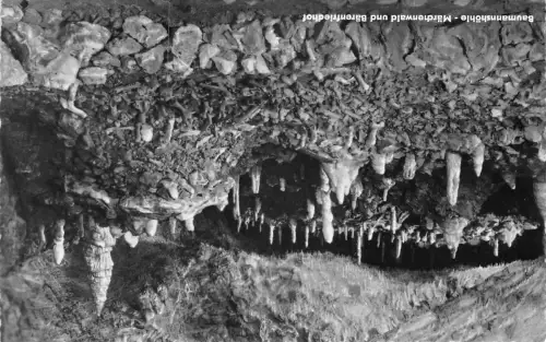 Baumannshöhle Märchenwald ngl 181.993
