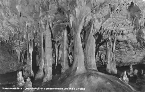 Baumannshöhle Märchenwald ngl 181.998