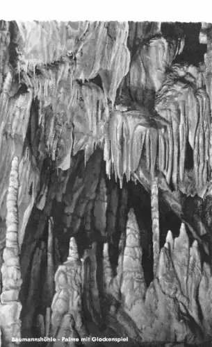 Baumannshöhle Palme mit Glockenspiel ngl 181.994