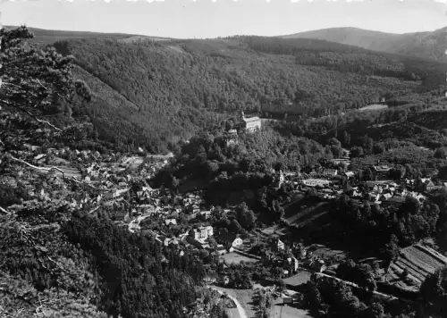 Schwarzburg (Thür.Wald) Trippsteinblick gl1952 182.133