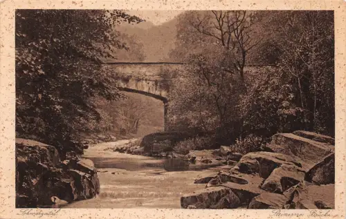 Schwarzatal (Thür.Wald) Steinere Brücke ngl 182.131