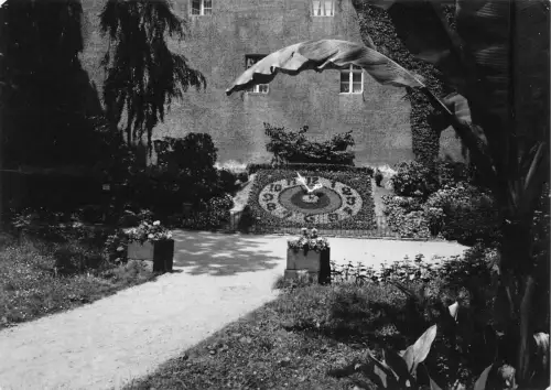 Zittau Blumenuhr ngl 182.242