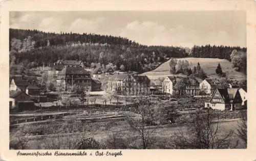 Bienenmühle Gesamtansicht gl1955 182.263
