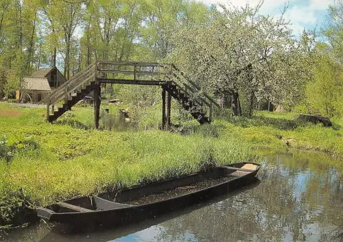 Spreewald Landschaft bei Lehde gl1996 182.333