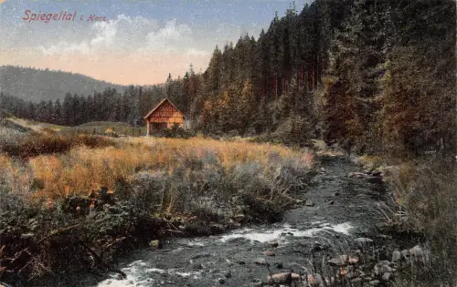 Spiegeltal i.Harz ngl 182.478