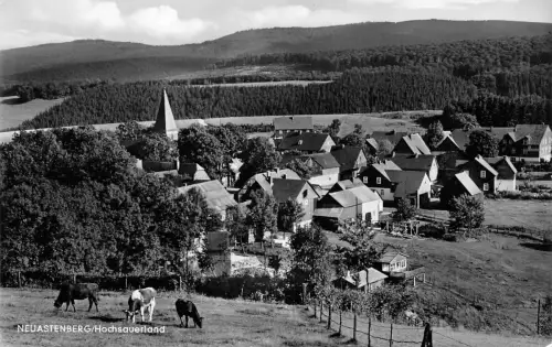 Neuastenberg (Hochsauerland) Panorama ngl 182.548