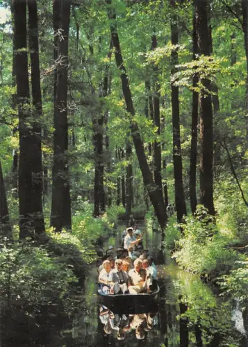 Spreewald Kahnpartie gl2004 182.601