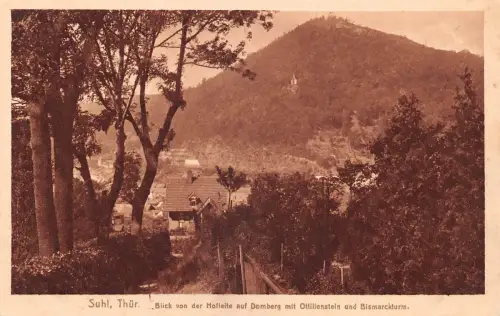 Suhl i.Th. Blick von der Hofleite ngl 182.617