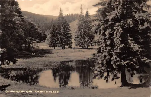 Gehlberg i.Thür. Am Hungertalteich gl 182.675