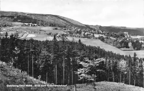 Gehlberg i.Thür. Blick vom Gabelsbachkopf gl1962 182.676