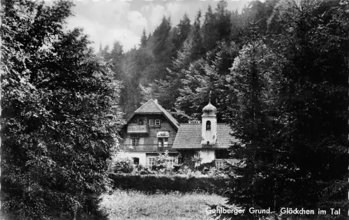 Gehlberger Grund Glöckchen im Tal ngl 182.683