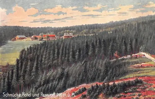 Schmücke im Thür. Hotel und Pension Künstlerkarte ngl 182.695