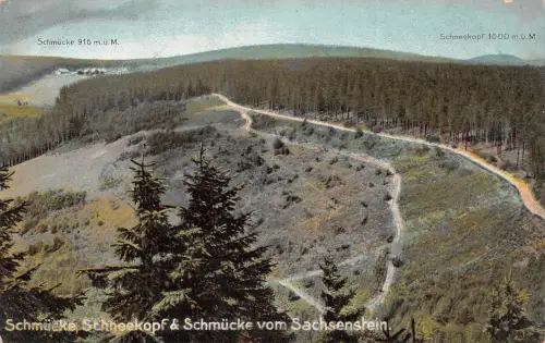 Schmücke im Thür. Wald vom Sachsenhein ngl 182.705