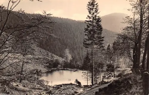 Oberhof (Thür. Wald) Pfanntalsteich gl 182.768