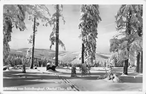 Oberhof (Thür. Wald) Fernblick vom Schloßbergkopf gl 182.777