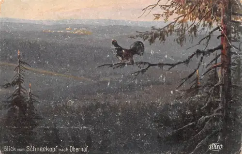 Oberhof (Thür. Wald) Blick vom Schneekopf ngl 182.835