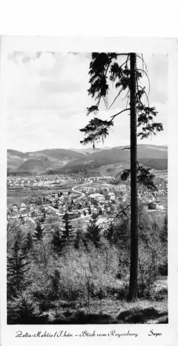 Zella Mehlis Thür Wald Blick vom Regenberg gl1961 182.896