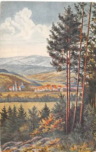 Schleusingen mit dem Adlersberg Künstlerkarte gl1916 182.883